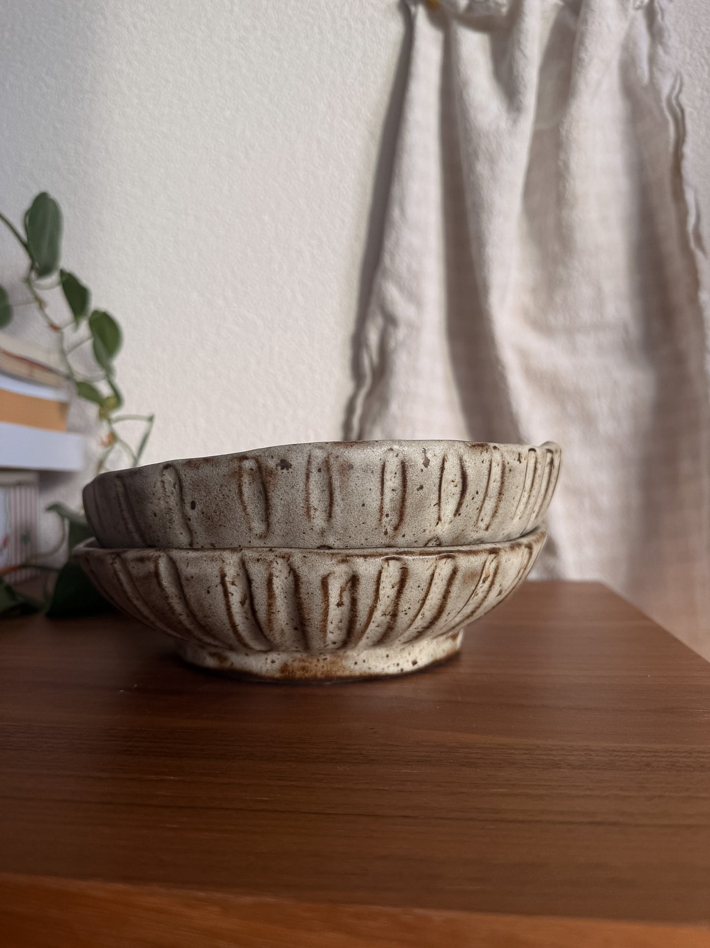 Duo d'assiettes creuses - Winter wood